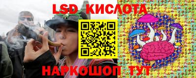 крисы Майкоп