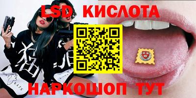 Альфа ПВП Магадан