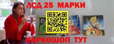 Альфа ПВП Магадан