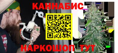 крисы Майкоп