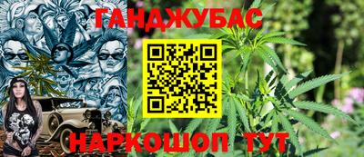 крисы Майкоп