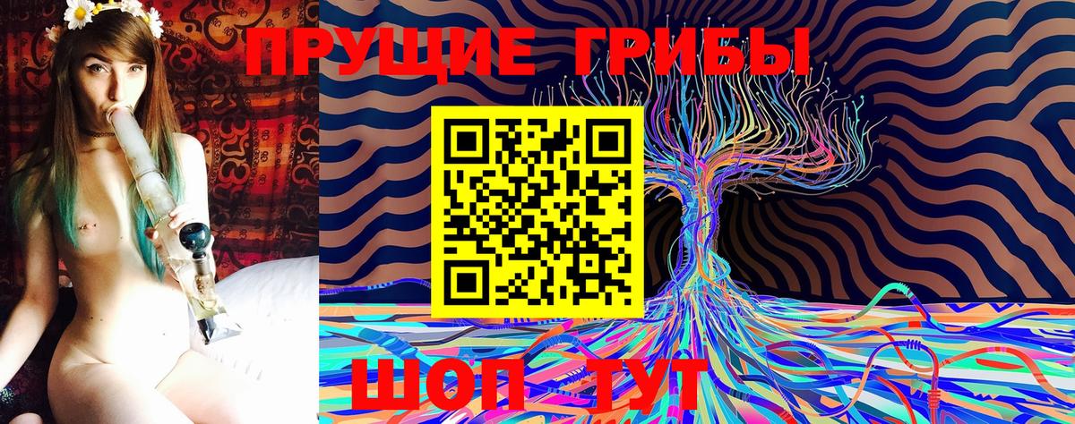 купить   Галлюциногенные грибы GOLDEN TEACHER  Вход с VPN  Галлюциногенные грибы MAGIC MUSHROOMS  Керчь 
