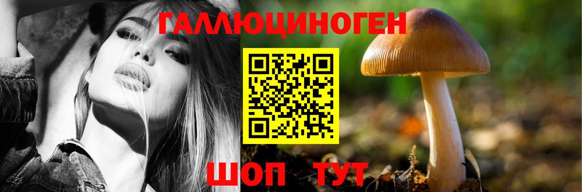 Псилоцибиновые грибы прущие грибы Керчь
